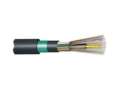 Non-metallic Strength Member armored Cable（GYFTY53）