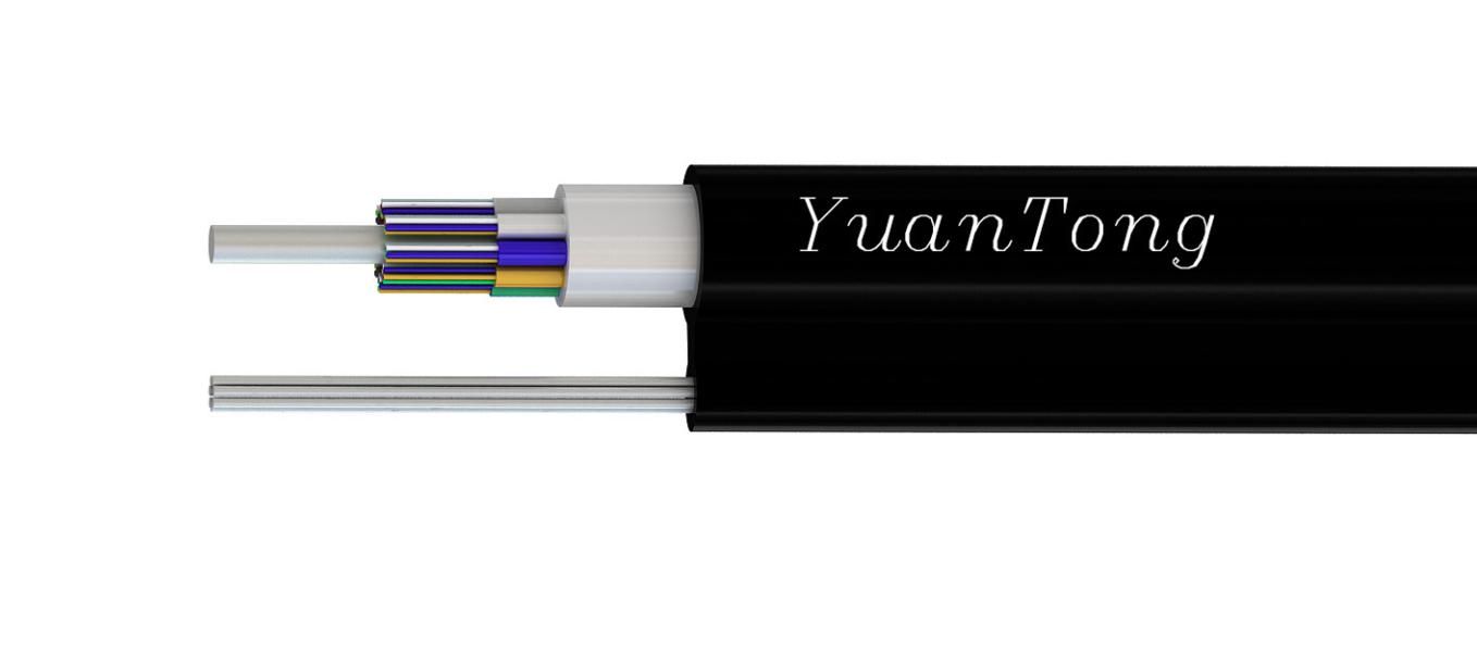 Figure 8 Cable(GYTC8A)